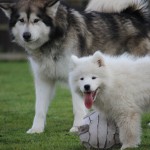 Little & large!